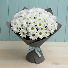 Букет цветов из:  Хризантемы #REPLACE_PRED# Урушу