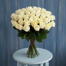 Букет 51 Белая роза Эдлесс Лав #REPLACE_PRED# Урушу