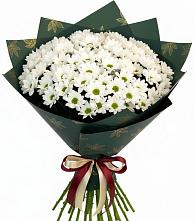 Букет цветов из:  Хризантемы #REPLACE_PRED# Урушу