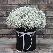 Цветочная композиция из Гипсофила в шляпной коробке #REPLACE_PRED# Урушу