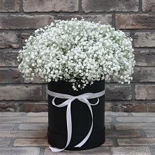 Цветочная композиция из Гипсофила в шляпной коробке в Урушу