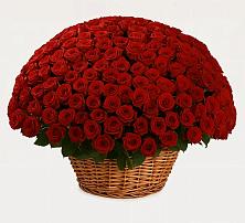 Премиум букет из: Розы в Урушу