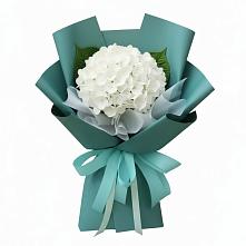 Букет цветов из:  Гортензия в Урушу